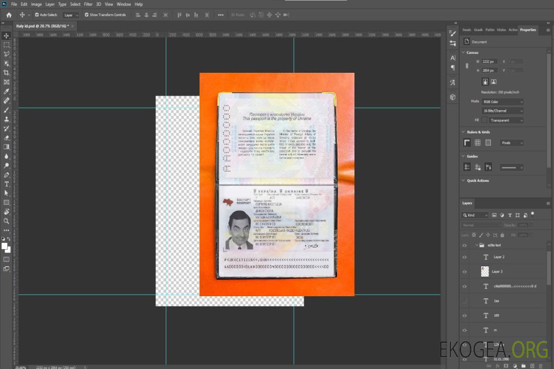 Look de photo de passeport ukrainien template Look de photo de passeport ukrainien template